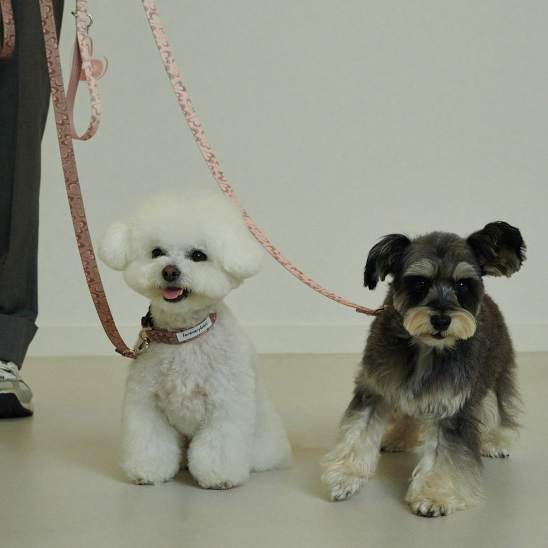 ※予約販売【foreverybari】Marble Heart Pet Collar（Chocolate）