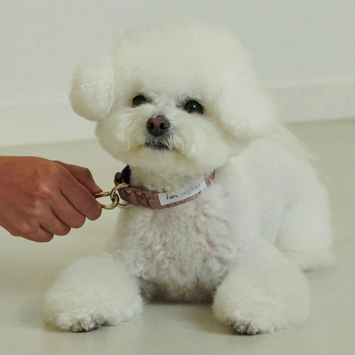 ※予約販売【foreverybari】Marble Heart Pet Collar（Chocolate）