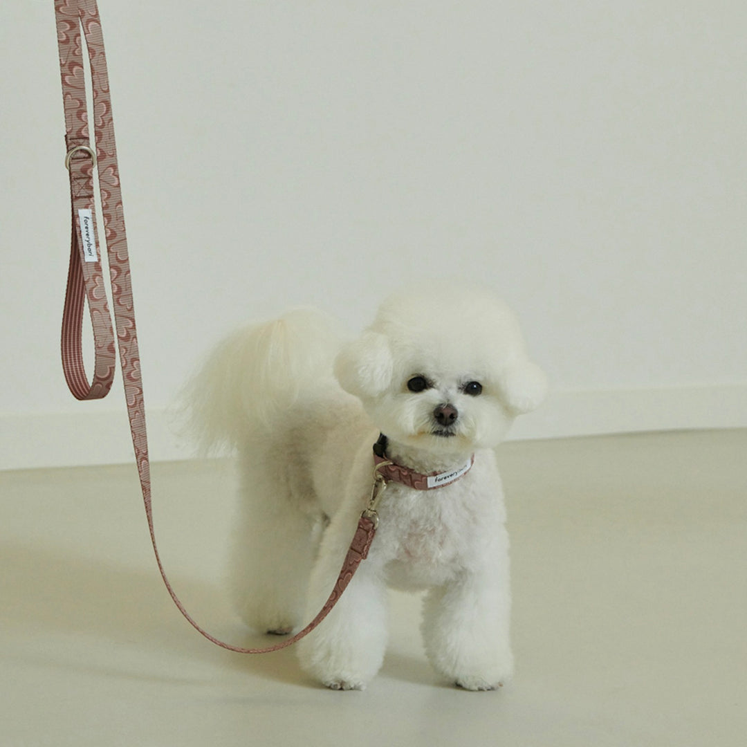 ※予約販売【foreverybari】Marble Heart Pet Collar（Chocolate）