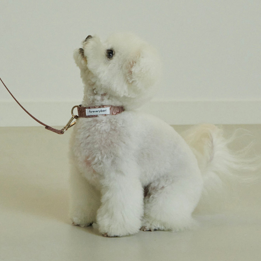 ※予約販売【foreverybari】Marble Heart Pet Collar（Chocolate）