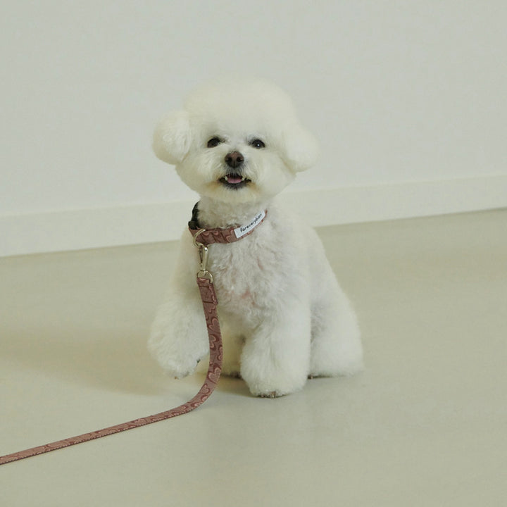 ※予約販売【foreverybari】Marble Heart Pet Collar（Chocolate）