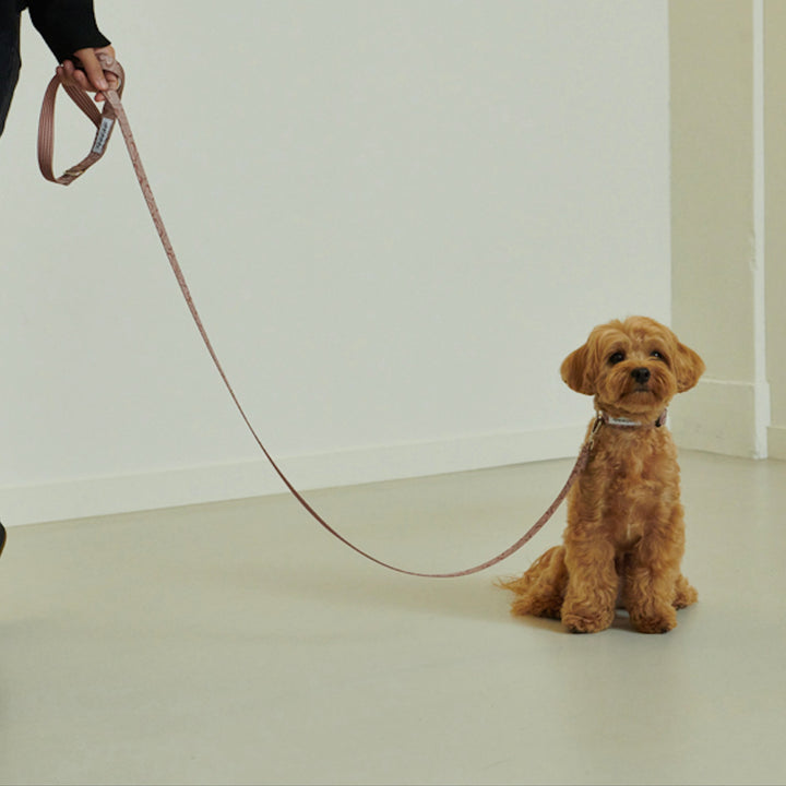 ※予約販売【foreverybari】Marble Heart Pet Collar（Chocolate）