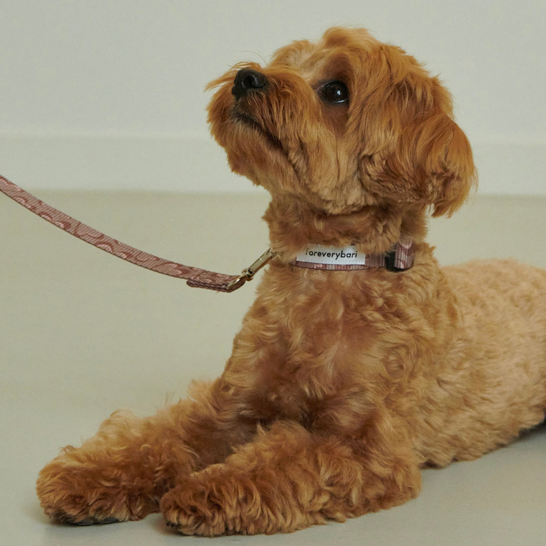 ※予約販売【foreverybari】Marble Heart Pet Collar（Chocolate）