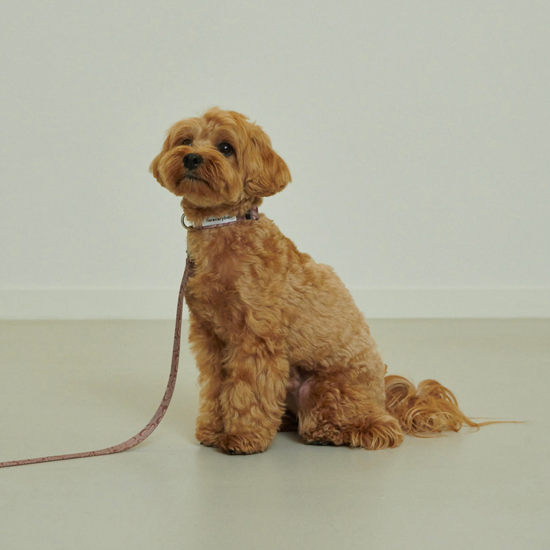 ※予約販売【foreverybari】Marble Heart Pet Collar（Chocolate）