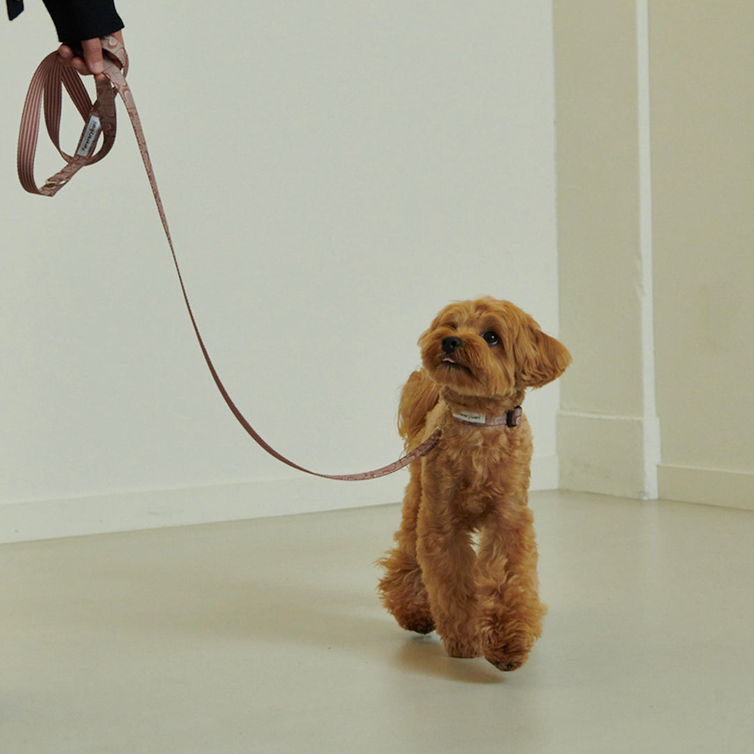 ※予約販売【foreverybari】Marble Heart Pet Collar（Chocolate）