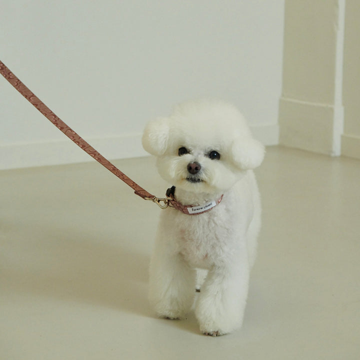 ※予約販売【foreverybari】Marble Heart Pet Collar（Chocolate）