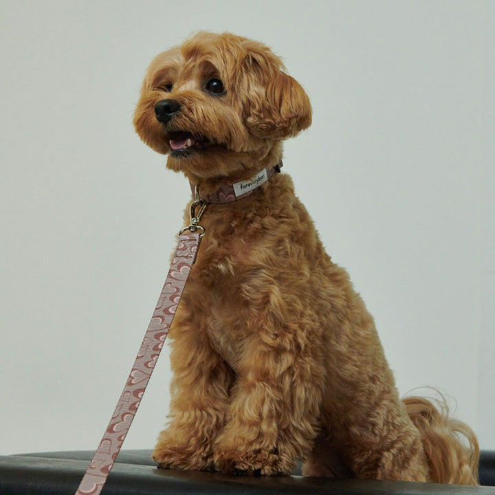 ※予約販売【foreverybari】Marble Heart Pet Collar（Chocolate）