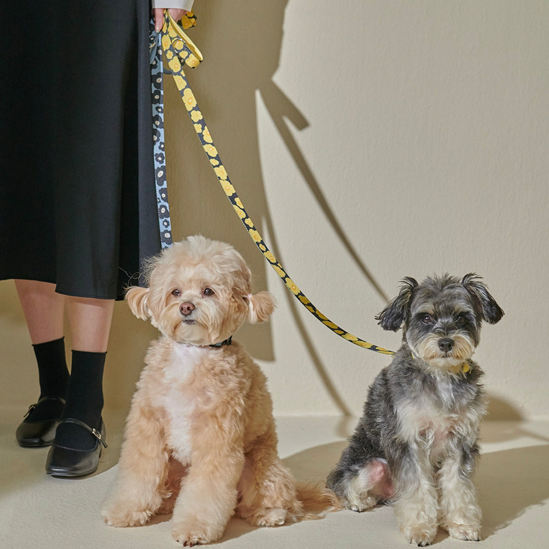 即納【foreverybari】PENSÉE Pet Collar（Blue）