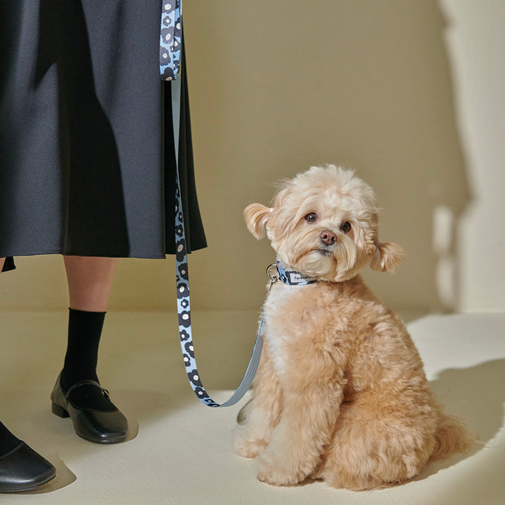 即納【foreverybari】PENSÉE Pet Collar（Blue）