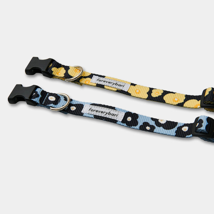 ※予約販売【foreverybari】PENSÉE Pet Collar（Yellow）