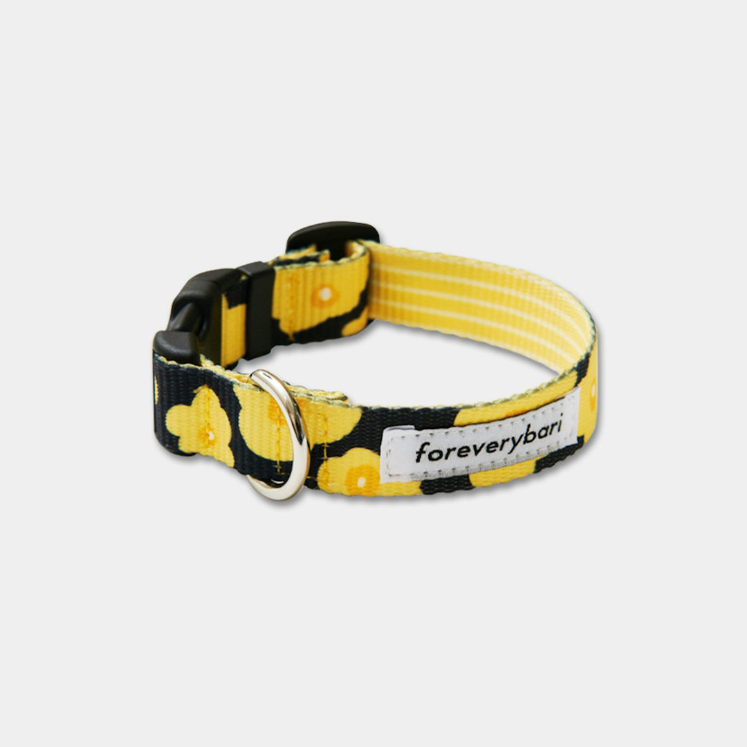 ※予約販売【foreverybari】PENSÉE Pet Collar（Yellow）