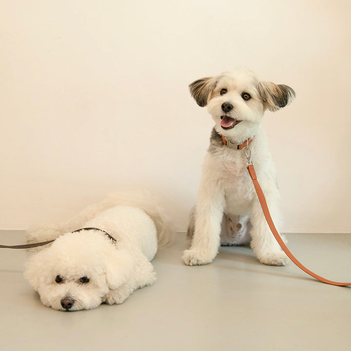 ※予約販売【foreverybari】Classic Pet Leash（Camel）