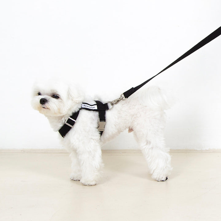 即納【foreverybari】Classic Pet Leash（Black）