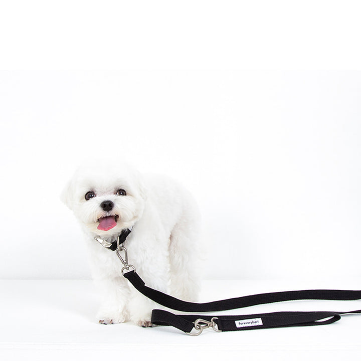 即納【foreverybari】Classic Pet Leash（Black）
