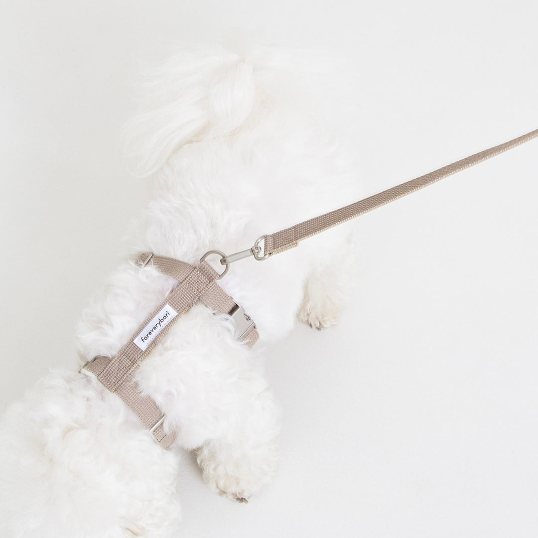 即納【foreverybari】Classic Pet Leash（Beige）
