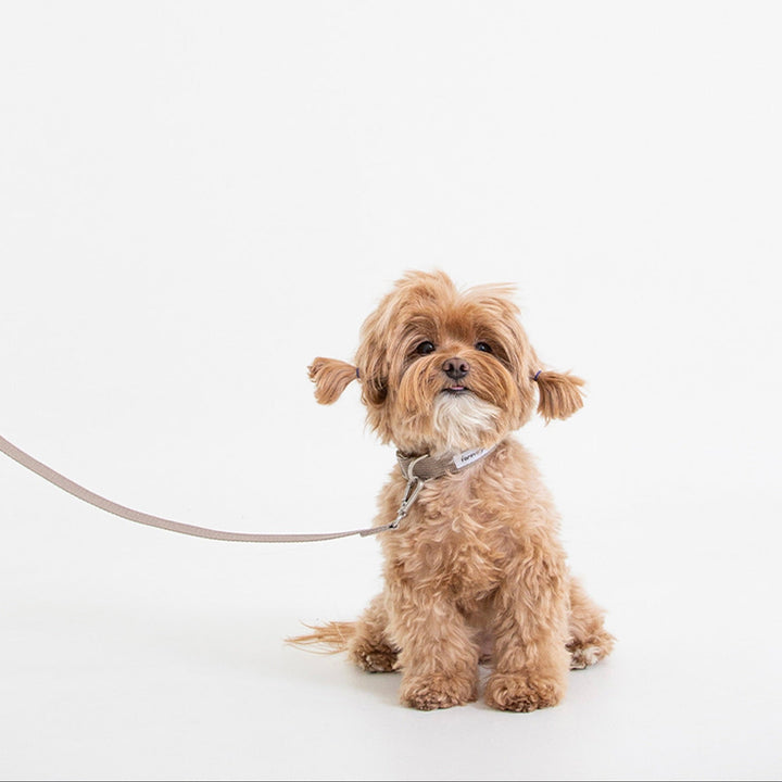 即納【foreverybari】Classic Pet Leash（Beige）