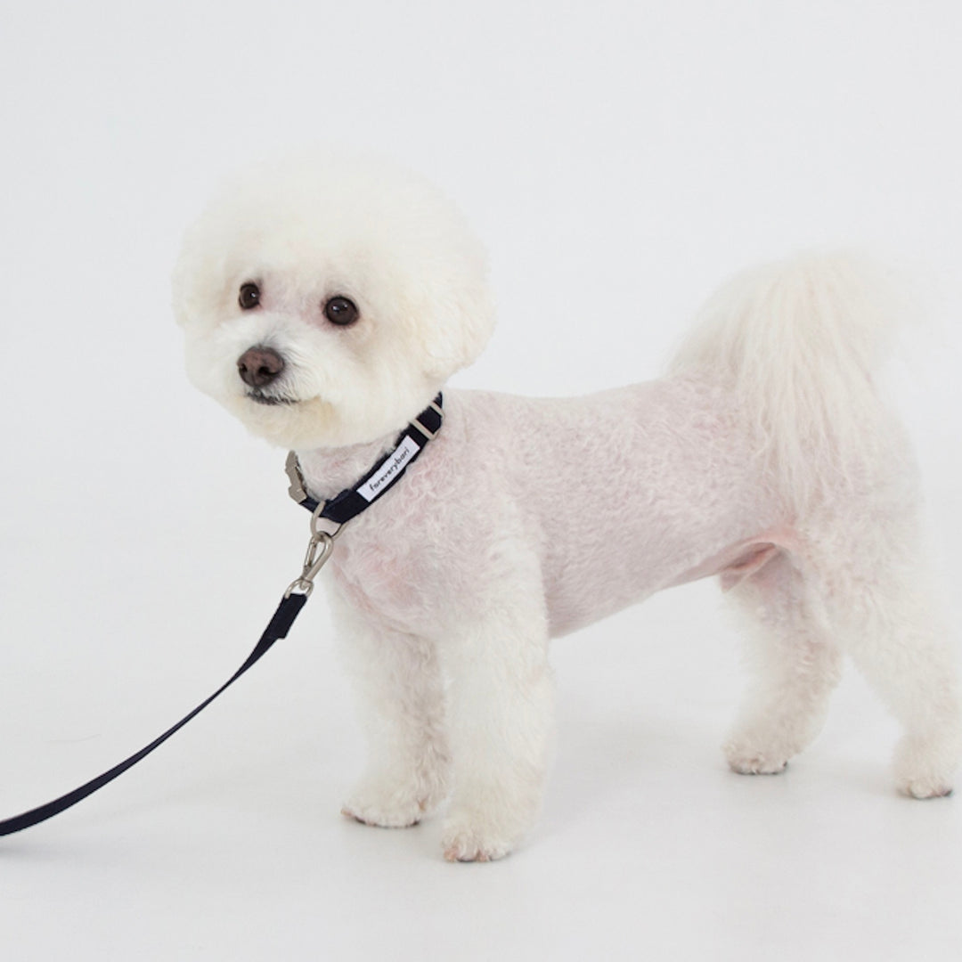 ※予約販売【foreverybari】Classic Pet Leash（Dark Navy）