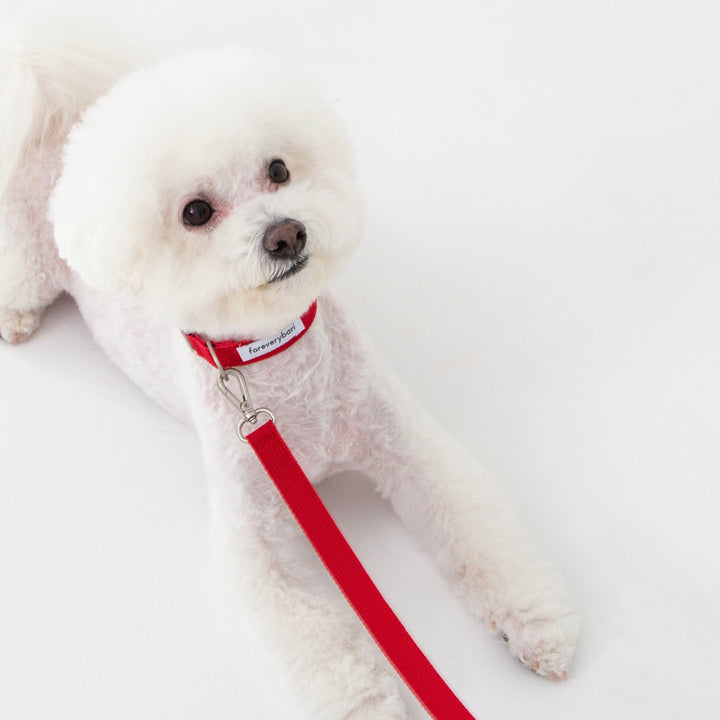 ※予約販売【foreverybari】Classic Pet Leash（Hot Red）