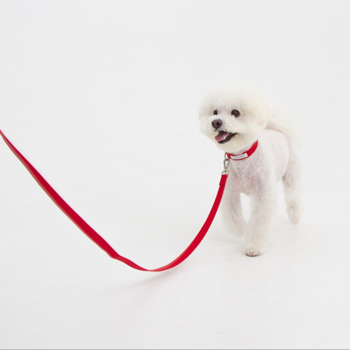 ※予約販売【foreverybari】Classic Pet Leash（Hot Red）