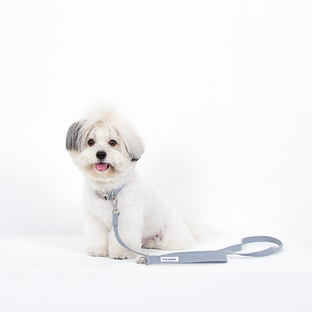 即納【foreverybari】Classic Pet Leash（Ice Gray）