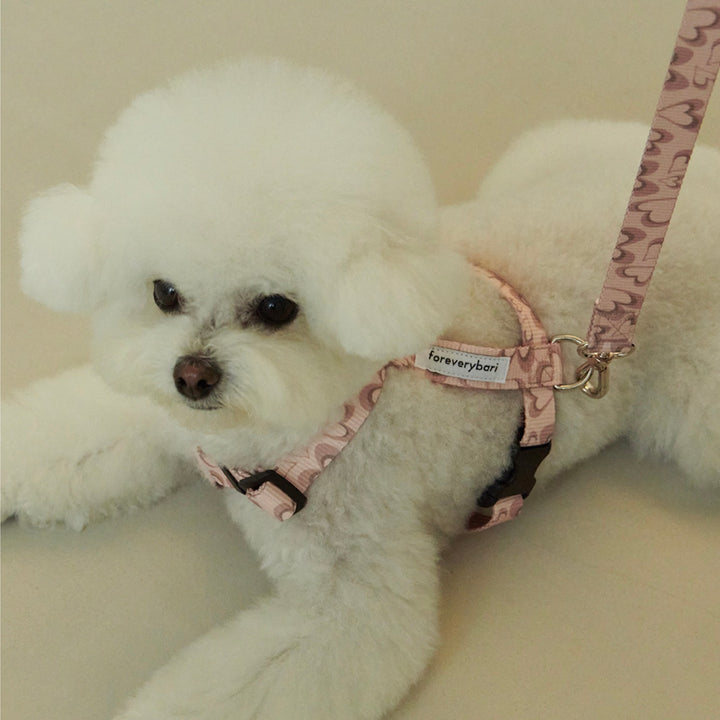 即納【foreverybari】Marble Heart Pet Leash（Strawberry）