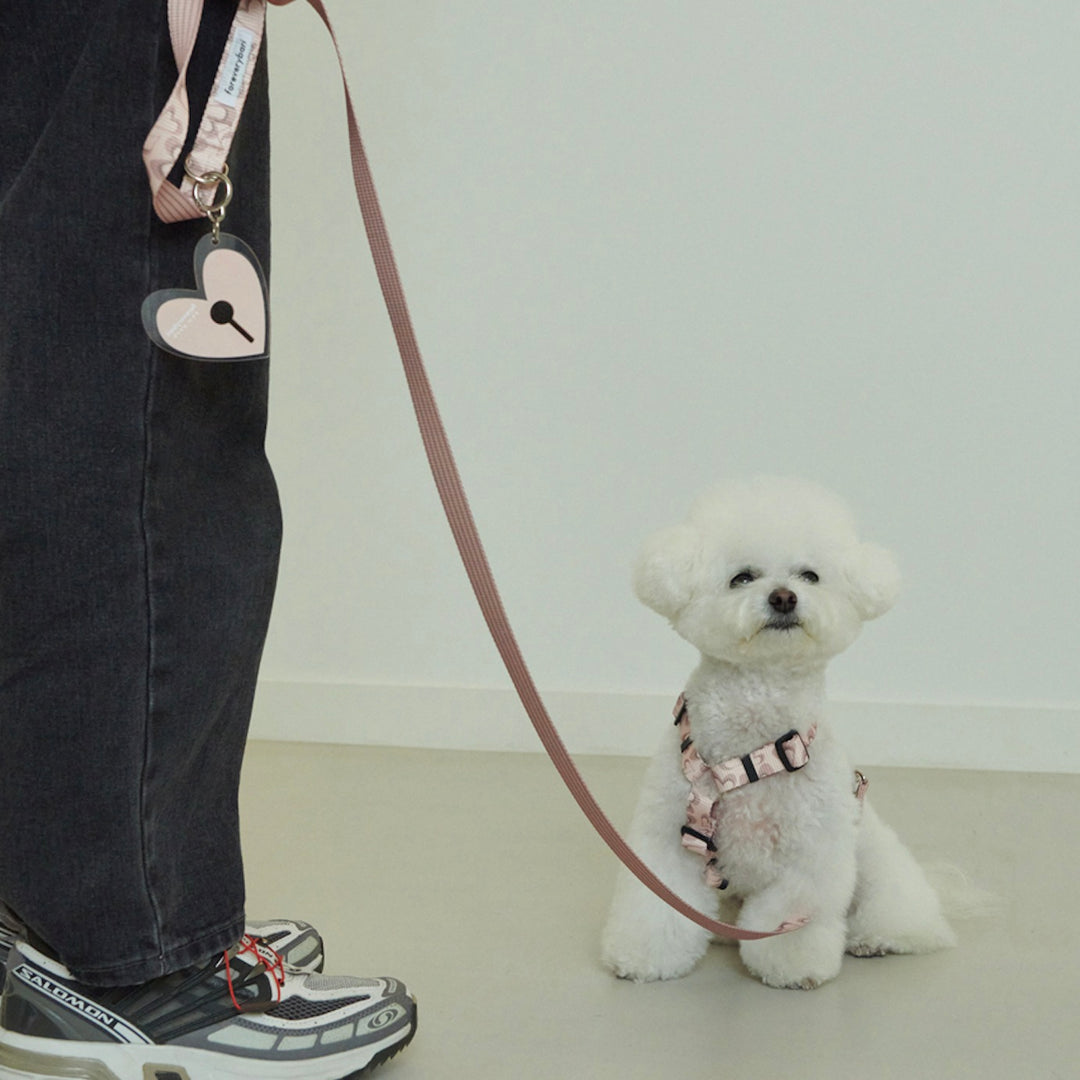 即納【foreverybari】Marble Heart Pet Leash（Strawberry）
