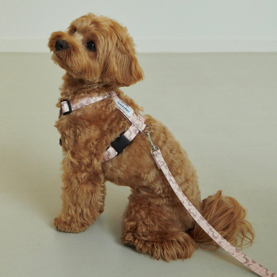 即納【foreverybari】Marble Heart Pet Leash（Strawberry）