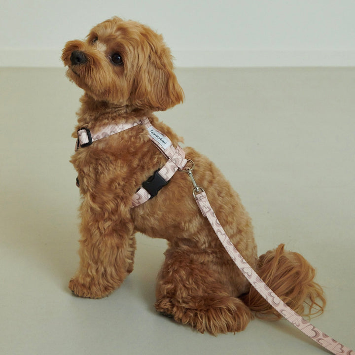 即納【foreverybari】Marble Heart Pet Leash（Strawberry）