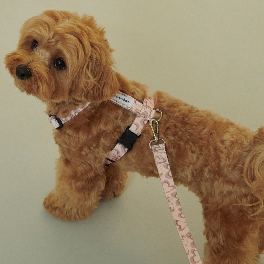 即納【foreverybari】Marble Heart Pet Leash（Strawberry）