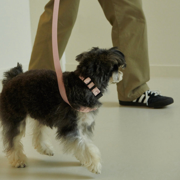 即納【foreverybari】Marble Heart Pet Leash（Strawberry）