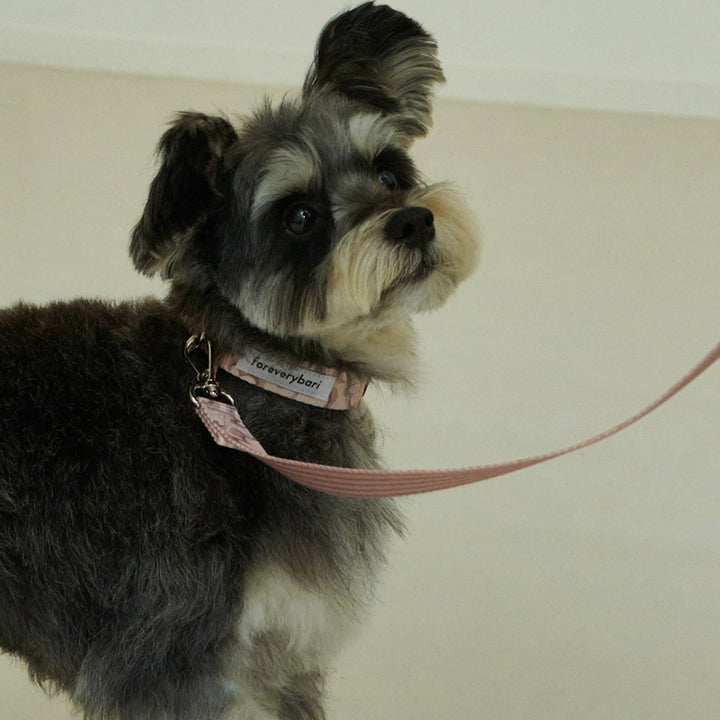 即納【foreverybari】Marble Heart Pet Leash（Strawberry）