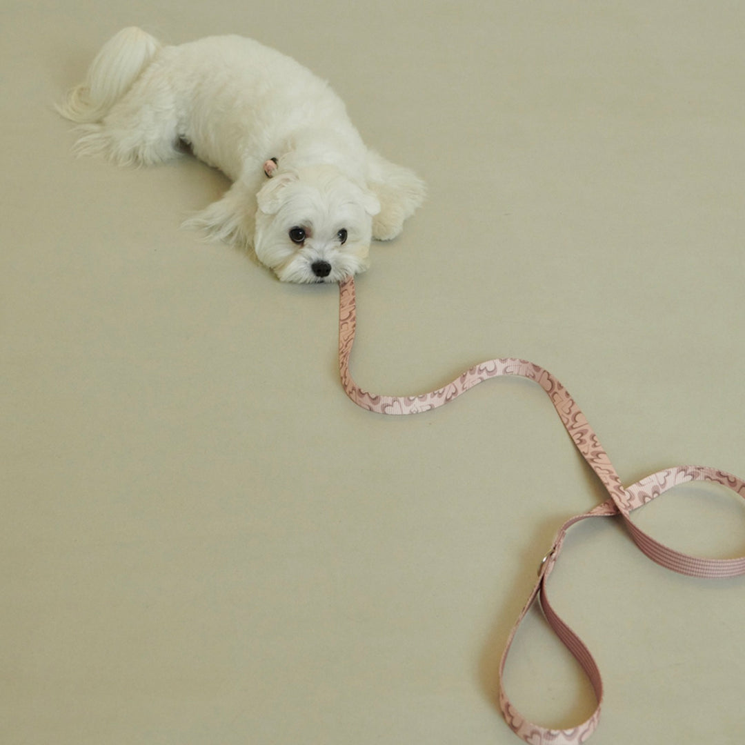 即納【foreverybari】Marble Heart Pet Leash（Strawberry）