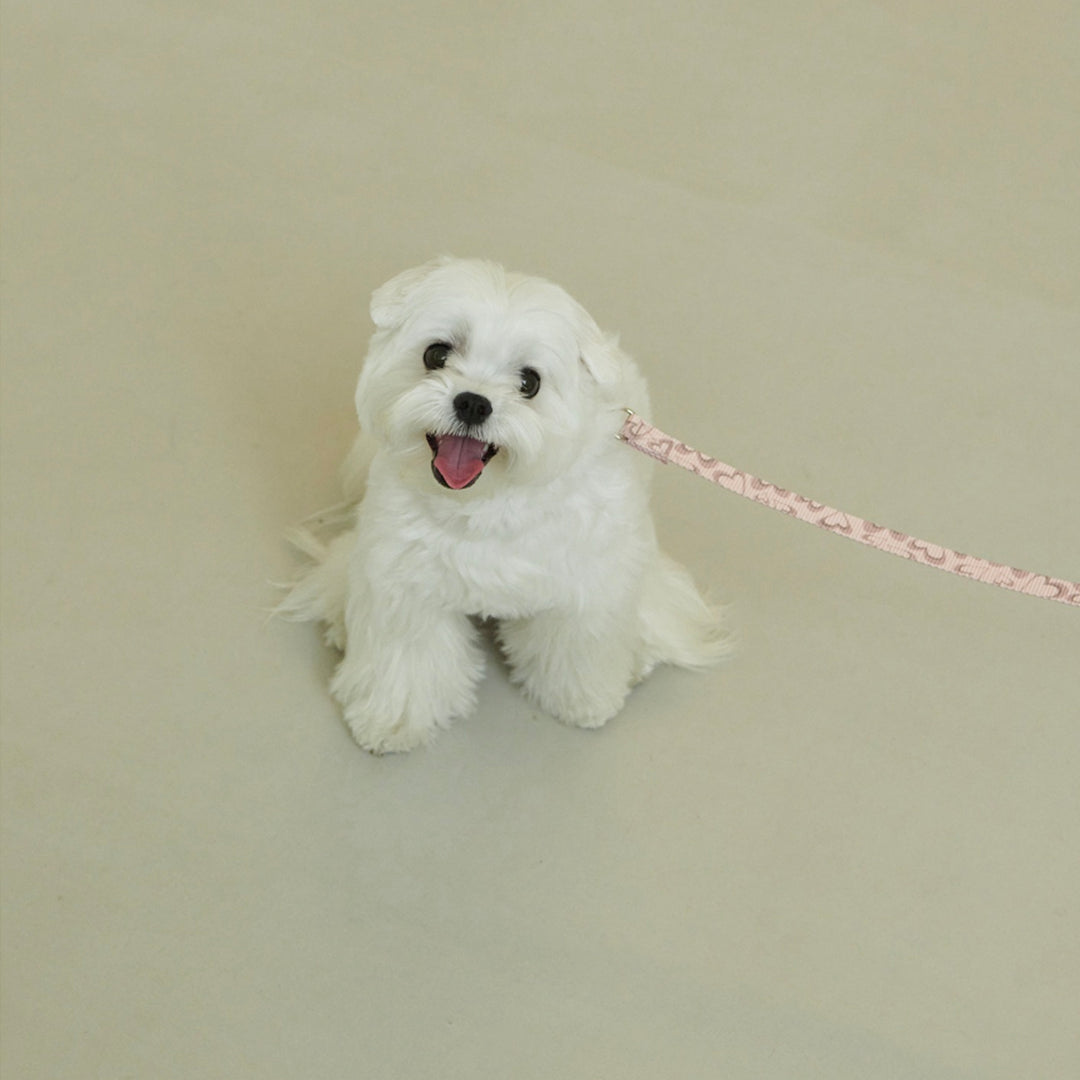 即納【foreverybari】Marble Heart Pet Leash（Strawberry）