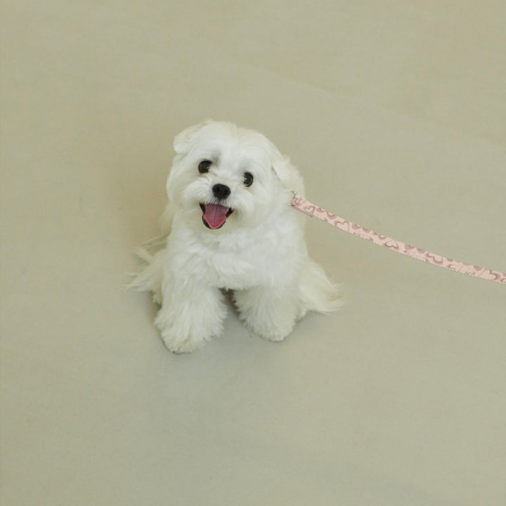 即納【foreverybari】Marble Heart Pet Leash（Strawberry）