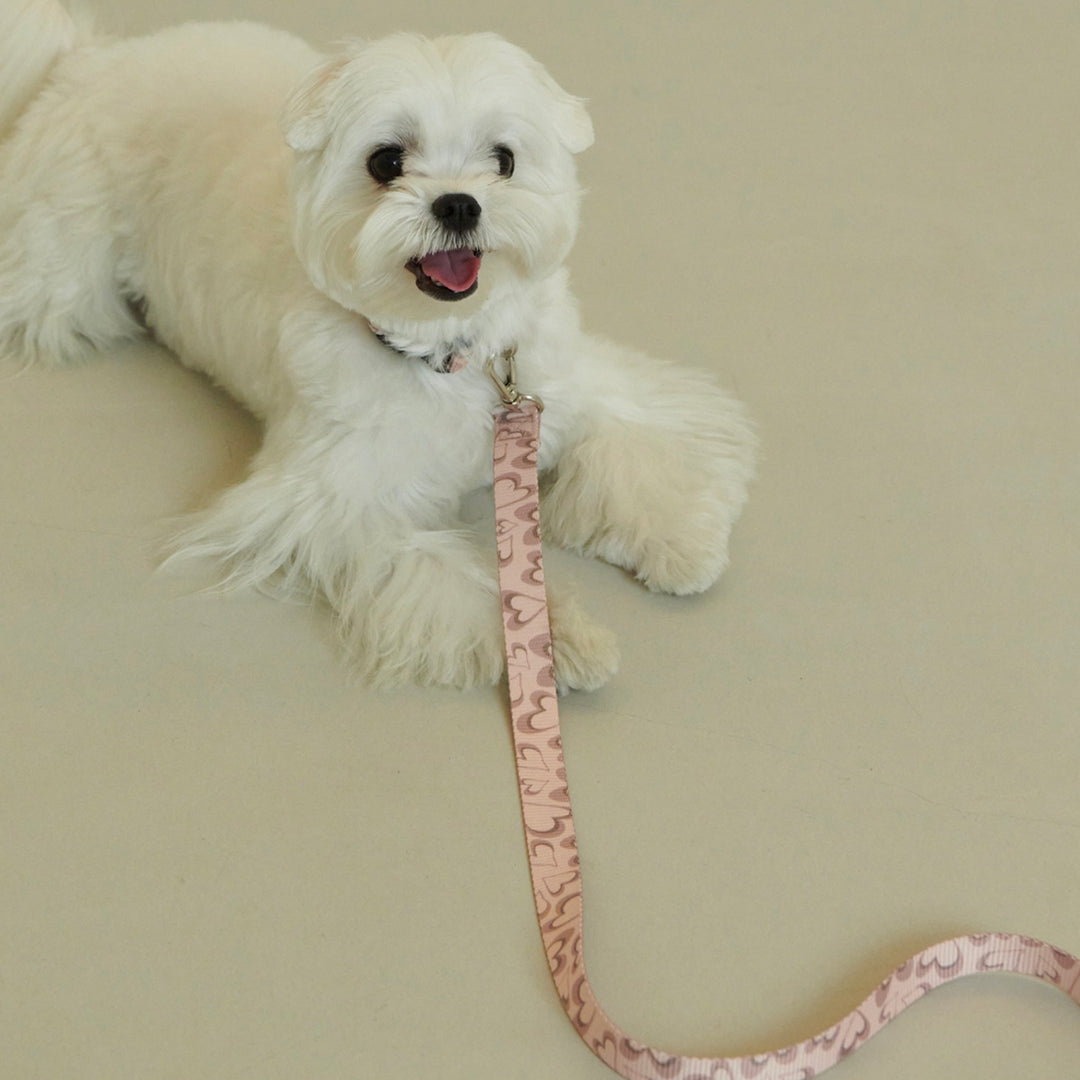 即納【foreverybari】Marble Heart Pet Leash（Strawberry）