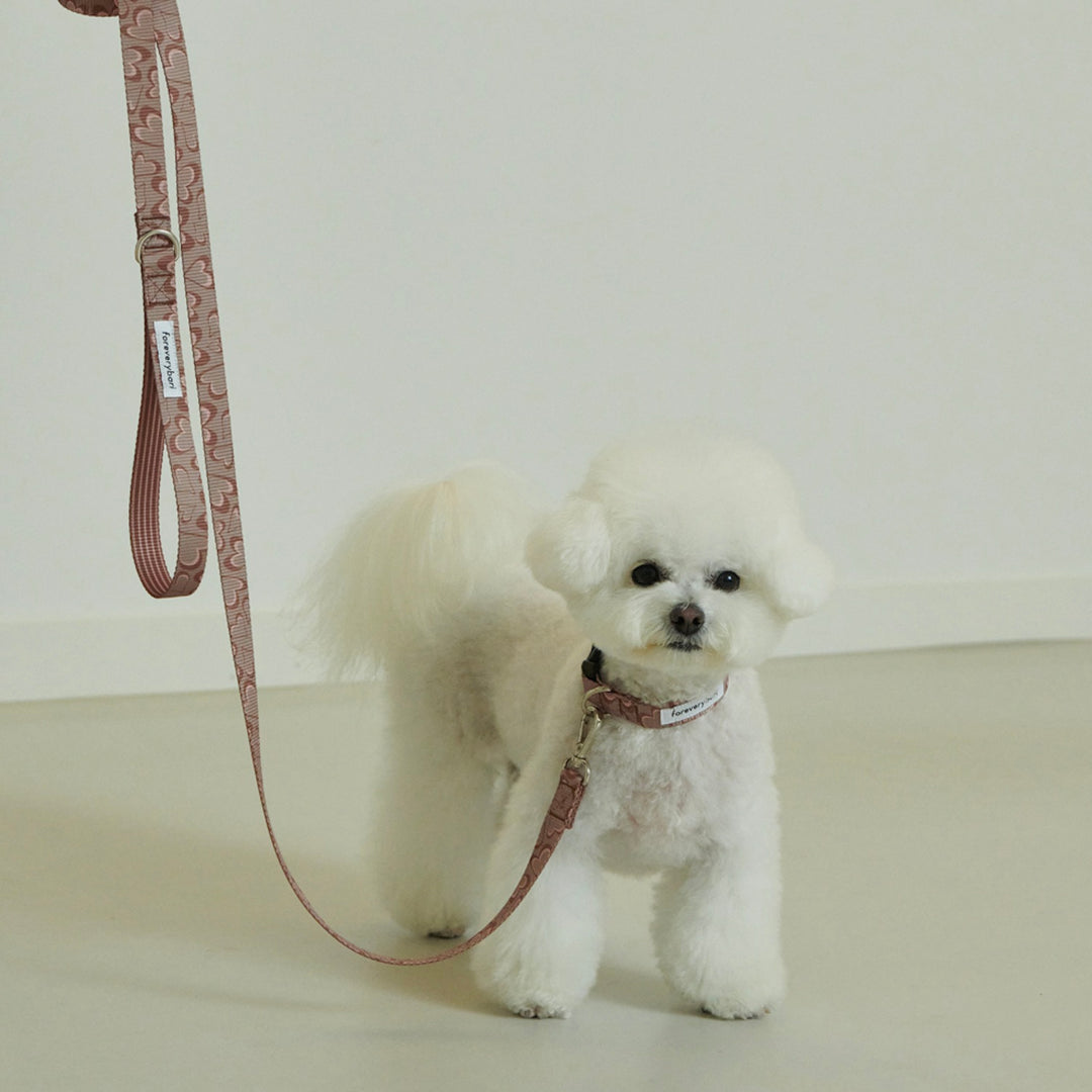 即納【foreverybari】Marble Heart Pet Leash（Chocolate）