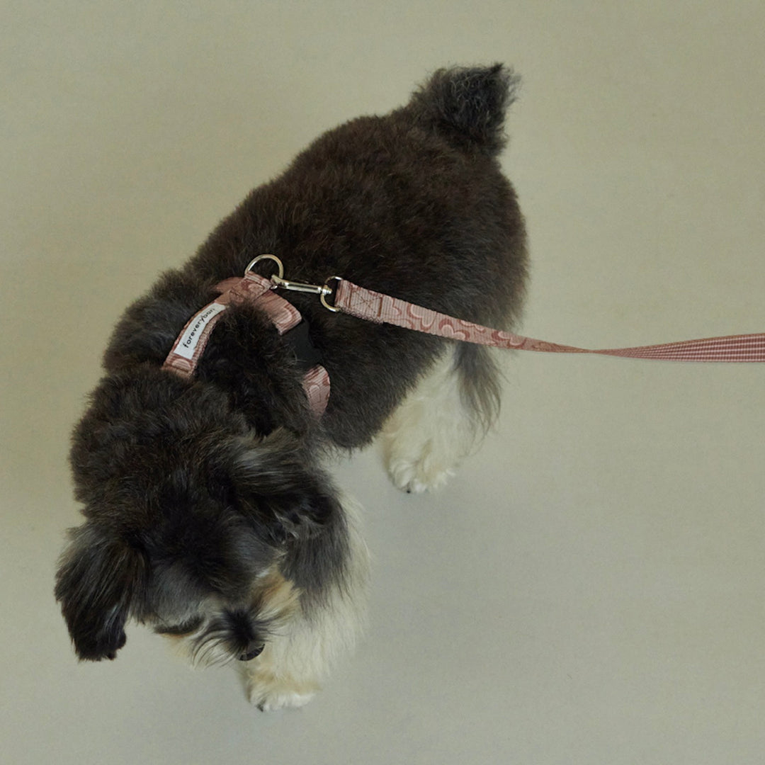 即納【foreverybari】Marble Heart Pet Leash（Chocolate）