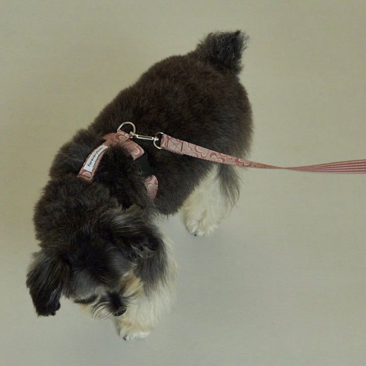 即納【foreverybari】Marble Heart Pet Leash（Chocolate）