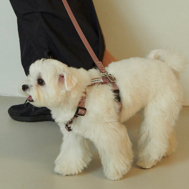 即納【foreverybari】Marble Heart Pet Leash（Chocolate）