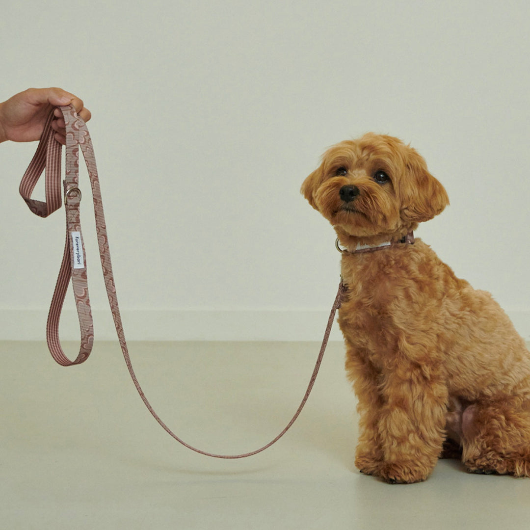 即納【foreverybari】Marble Heart Pet Leash（Chocolate）