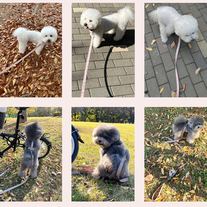 即納【foreverybari】Marble Heart Pet Leash（Chocolate）