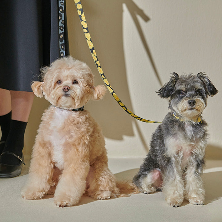 即納【foreverybari】PENSÉE Pet Leash（Yellow）