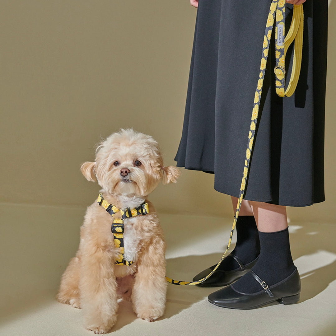即納【foreverybari】PENSÉE Pet Leash（Yellow）