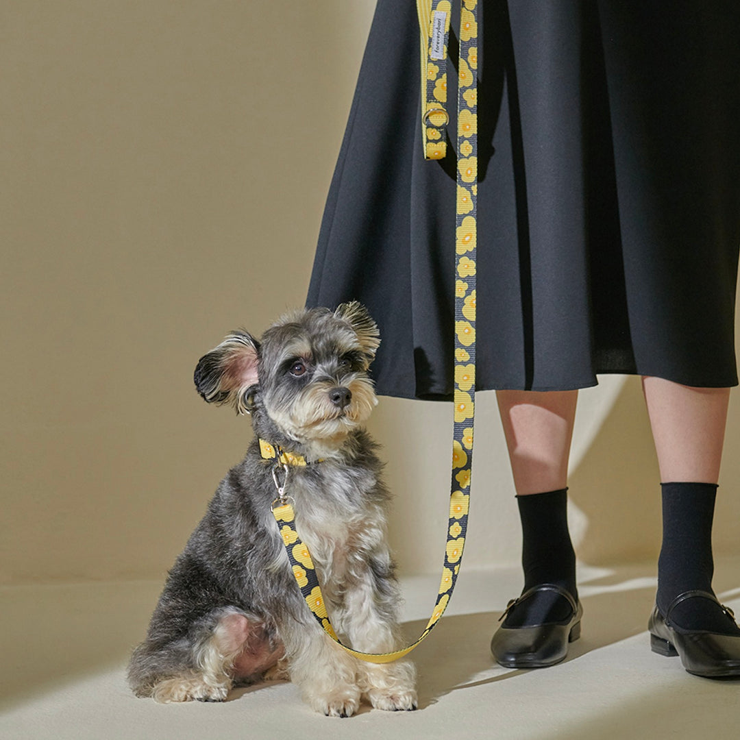 即納【foreverybari】PENSÉE Pet Leash（Yellow）