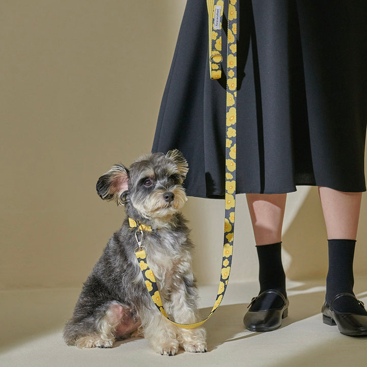 即納【foreverybari】PENSÉE Pet Leash（Yellow）