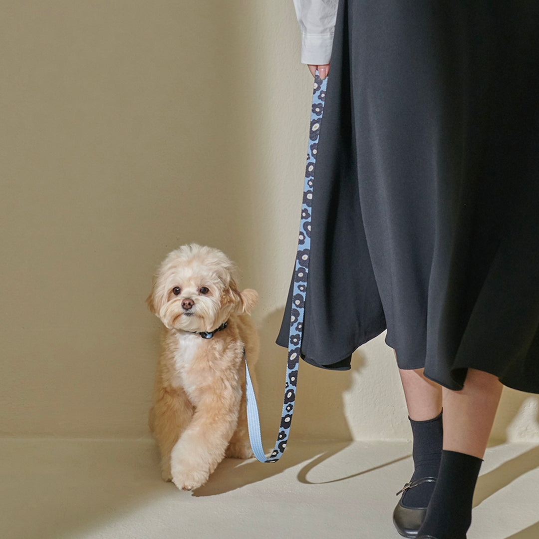 即納【foreverybari】PENSÉE Pet Leash（Blue）