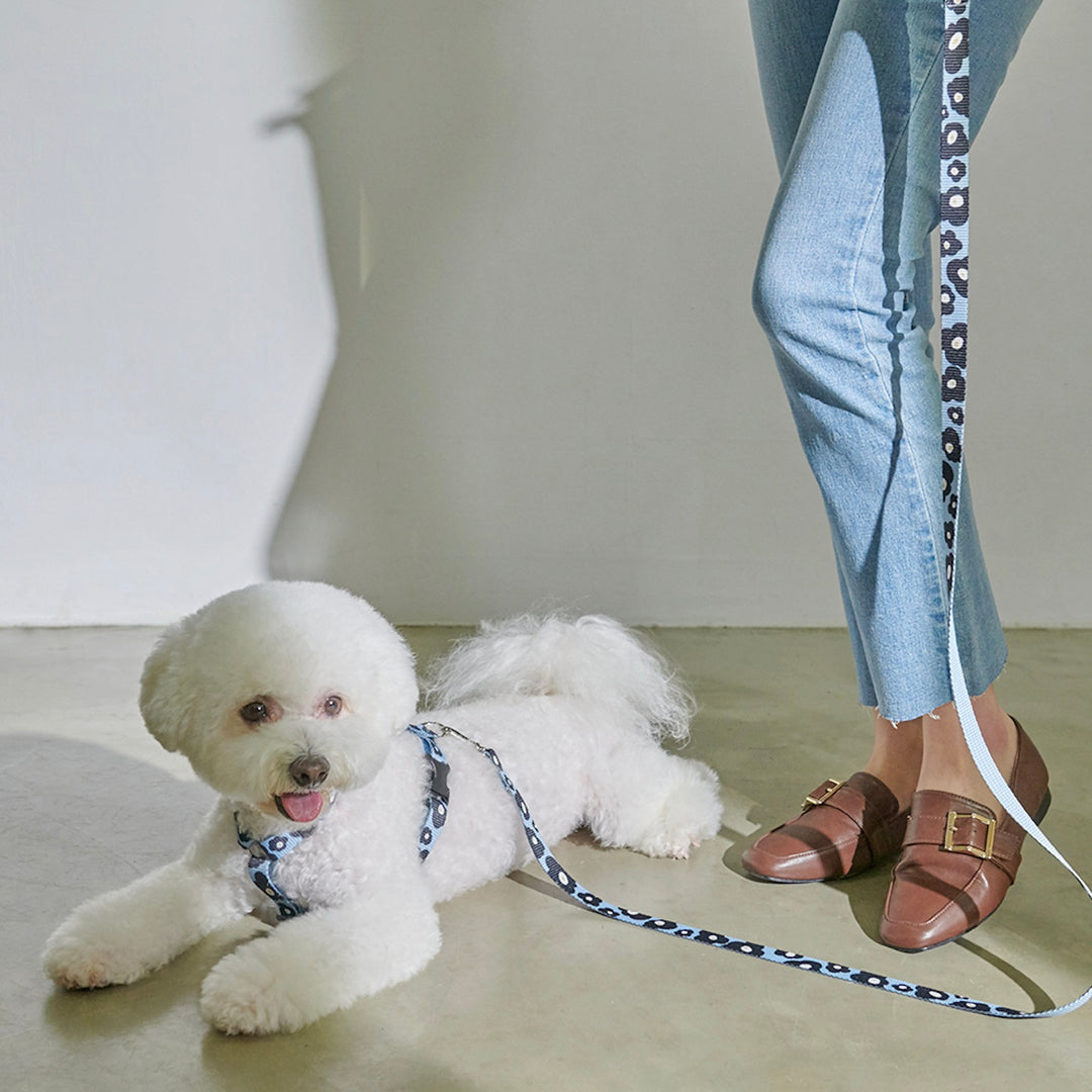 即納【foreverybari】PENSÉE Pet Leash（Blue）