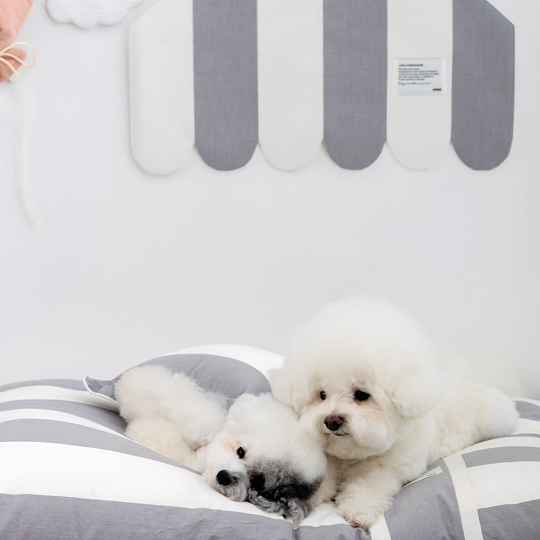 ※予約販売【Chiot】Canopy Material  Poster Cosy Stripe（3 color）