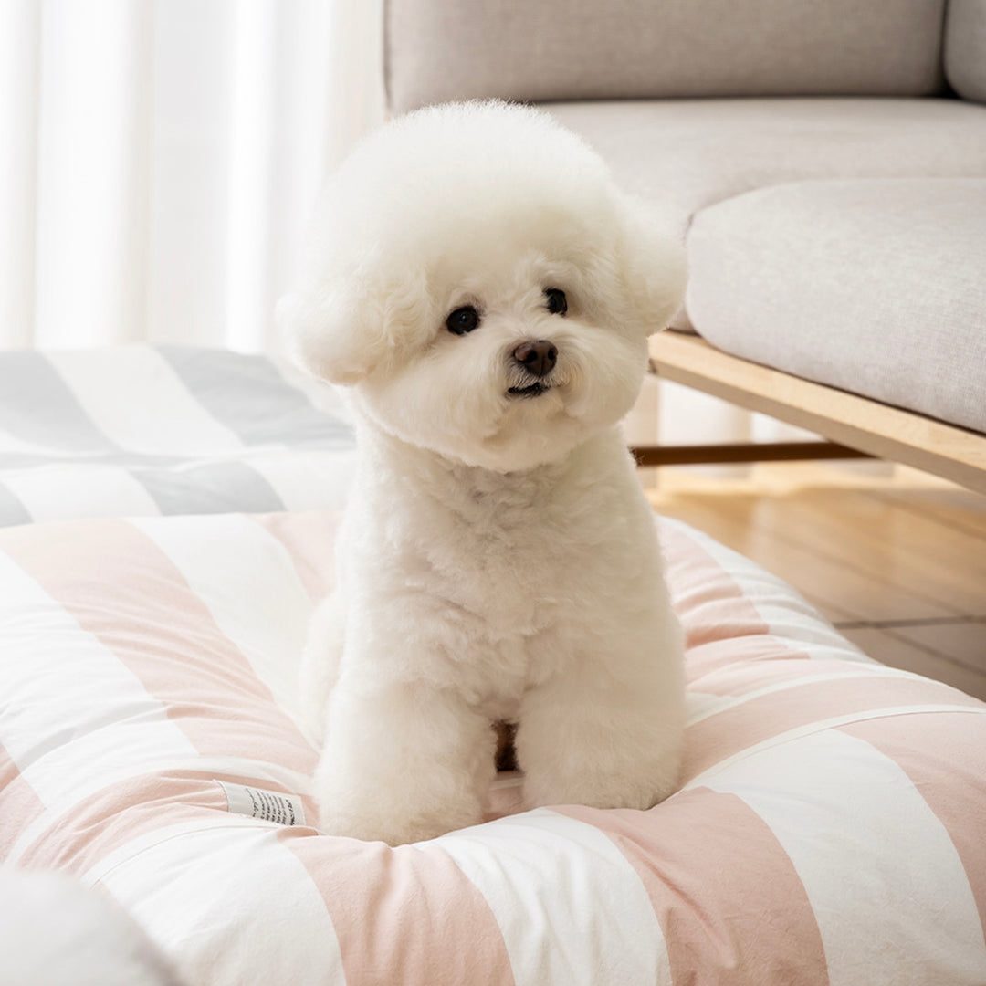 即納【Chiot】Comfort Coming Bed Cosy Stripe（Mint）