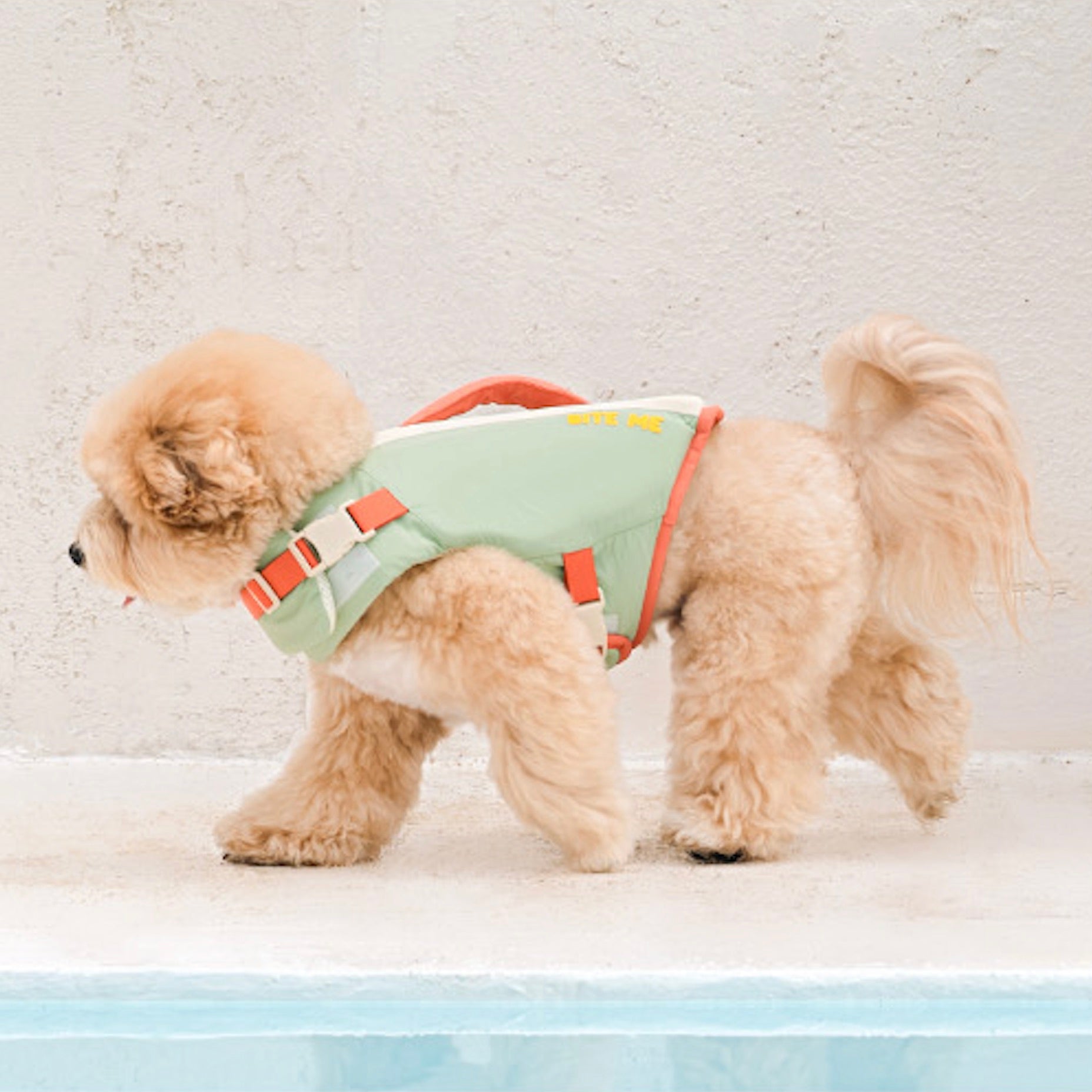 海外犬服 高品質なインポートのドッグウェア通販 